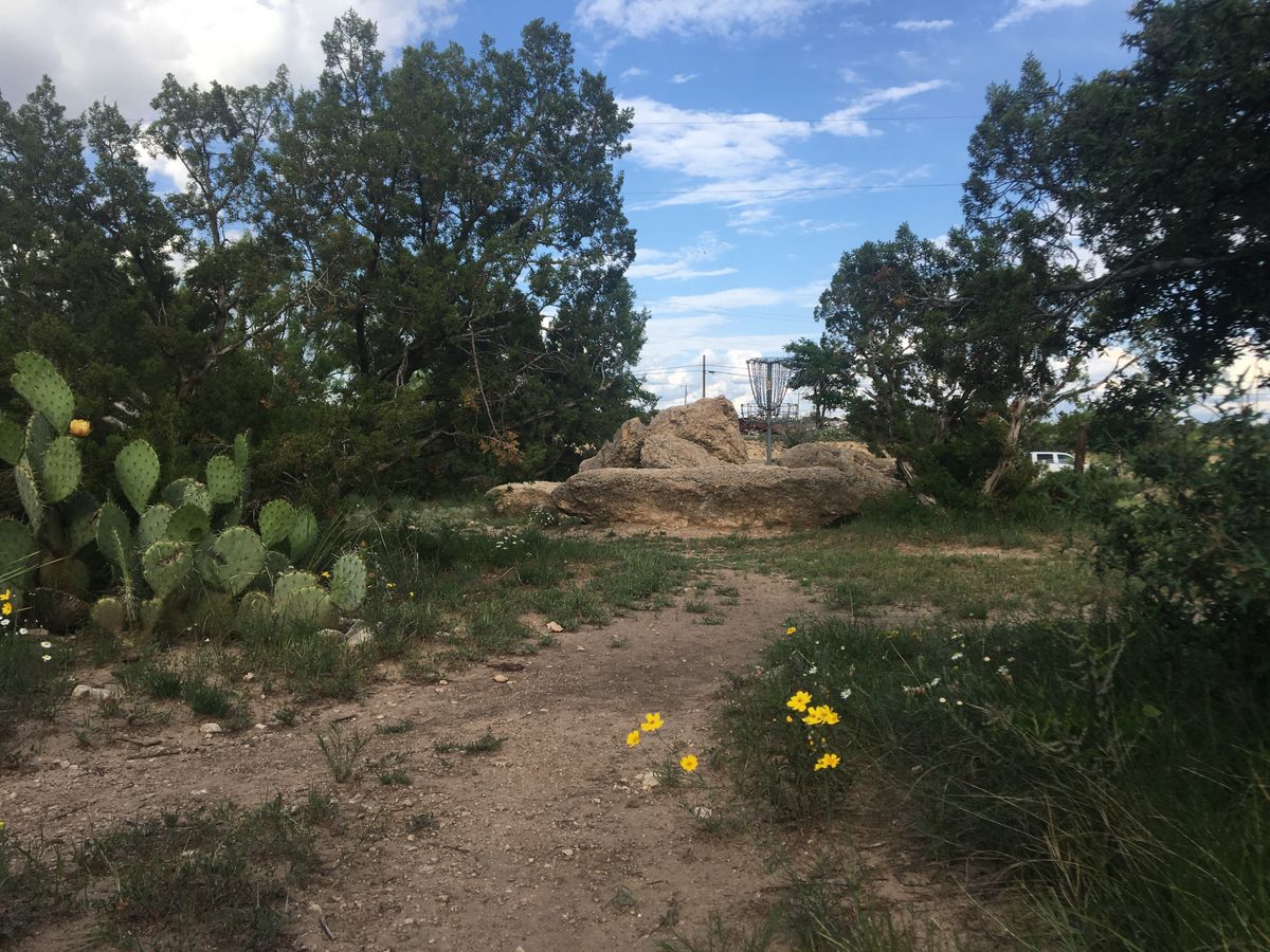 Hole 3 CTP Parkside Pin