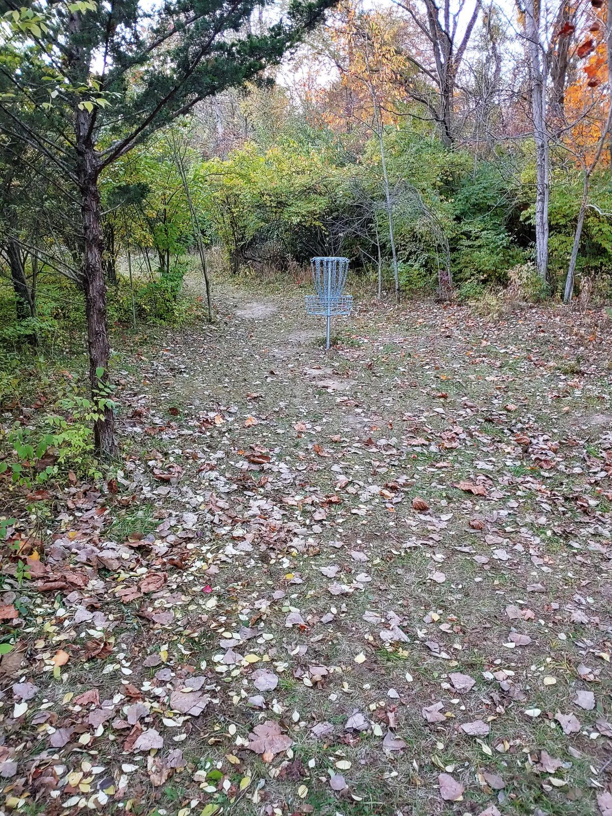 Hole 9 basket