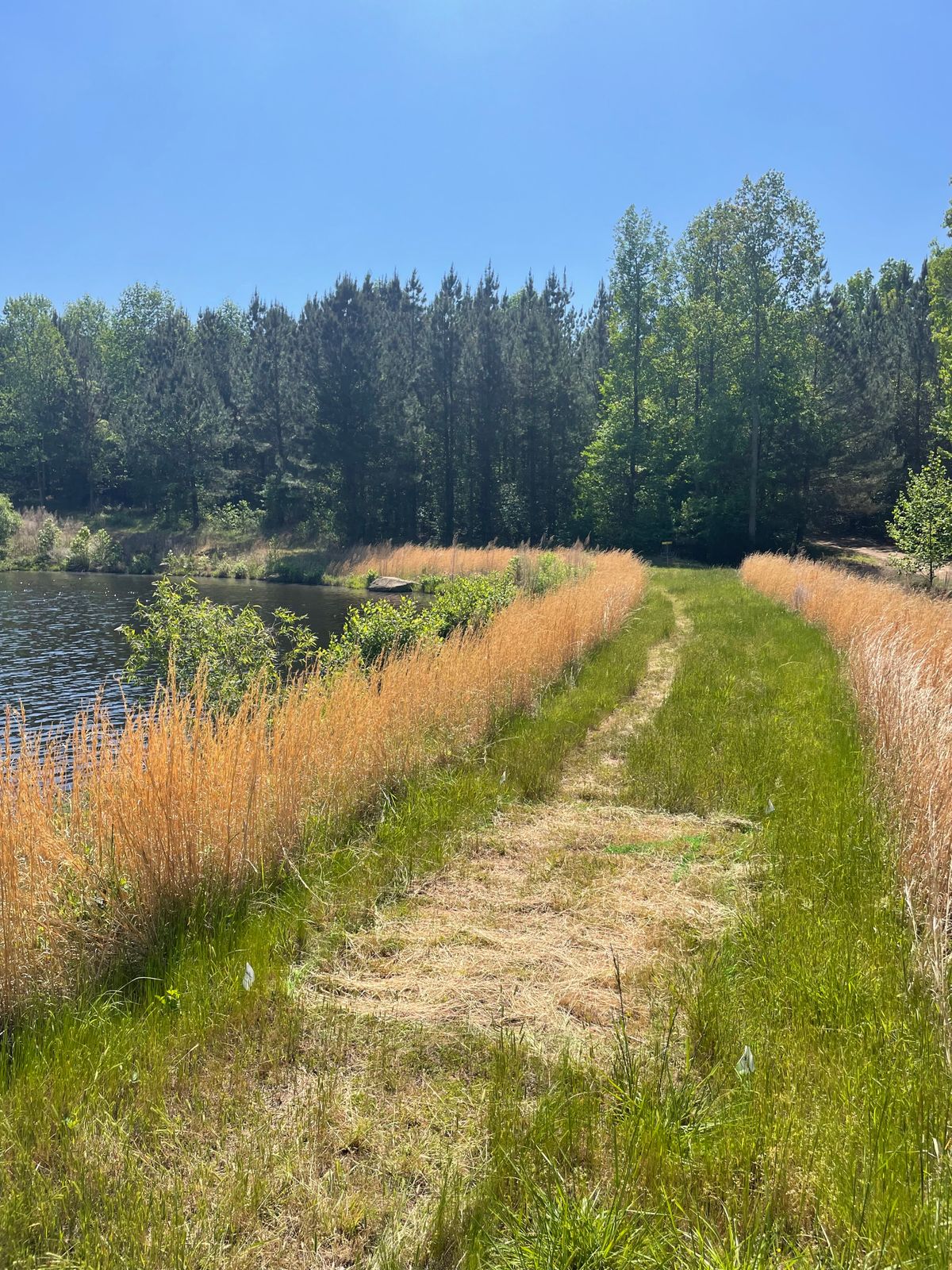 Hole 4 tee box, water to the left, hillside with tall grass to the right