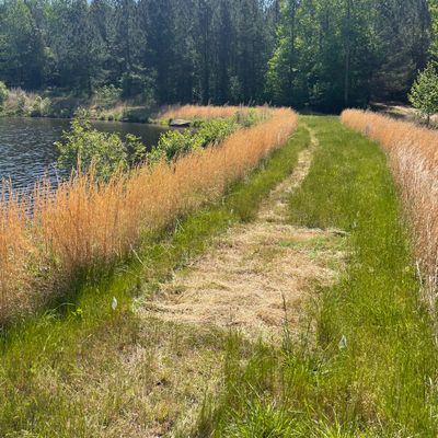 Hole 4 tee box, water to the left, hillside with tall grass to the right