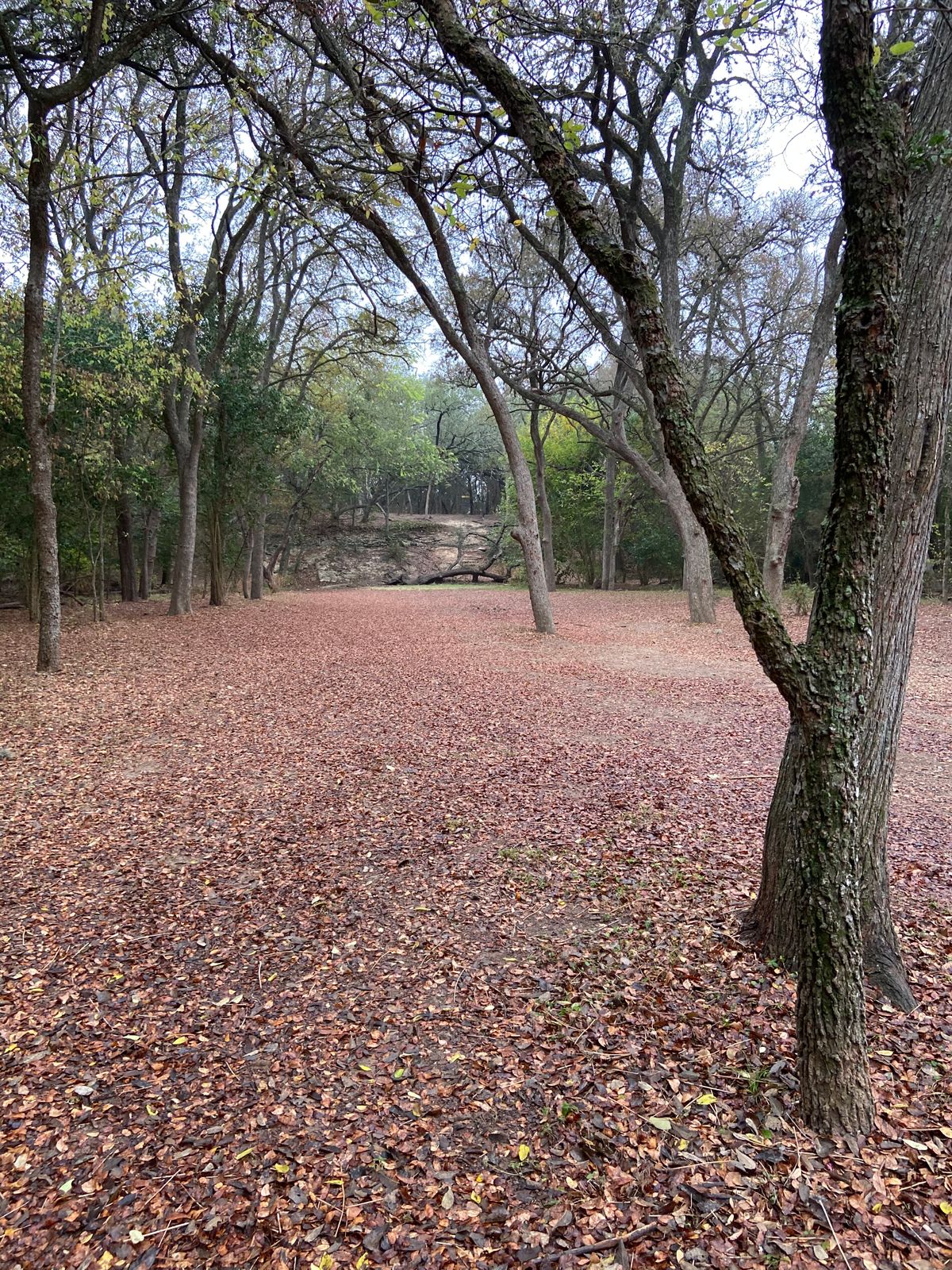 Hole 5 approach