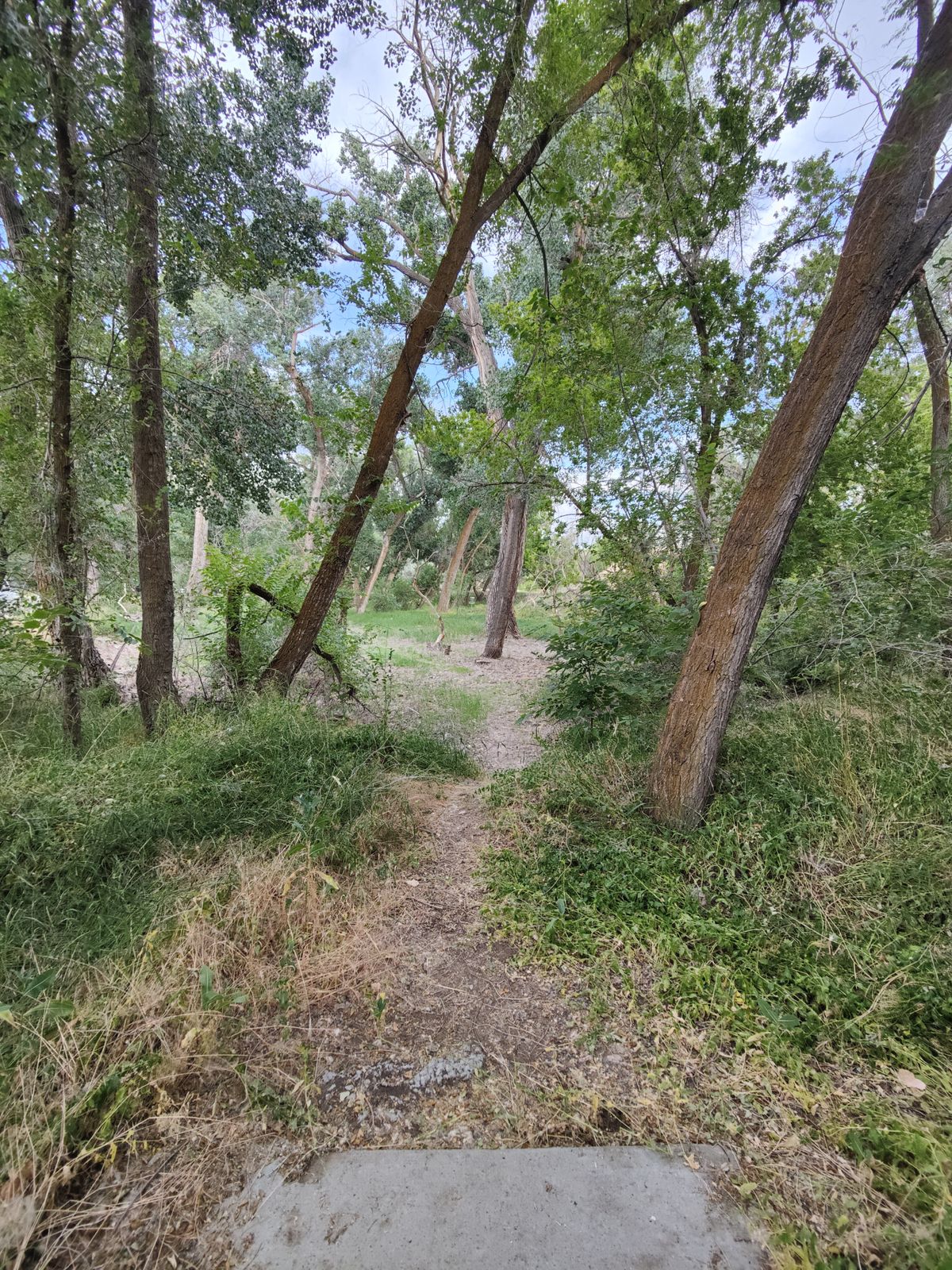 Teepad of hole #2 looking towards the basket