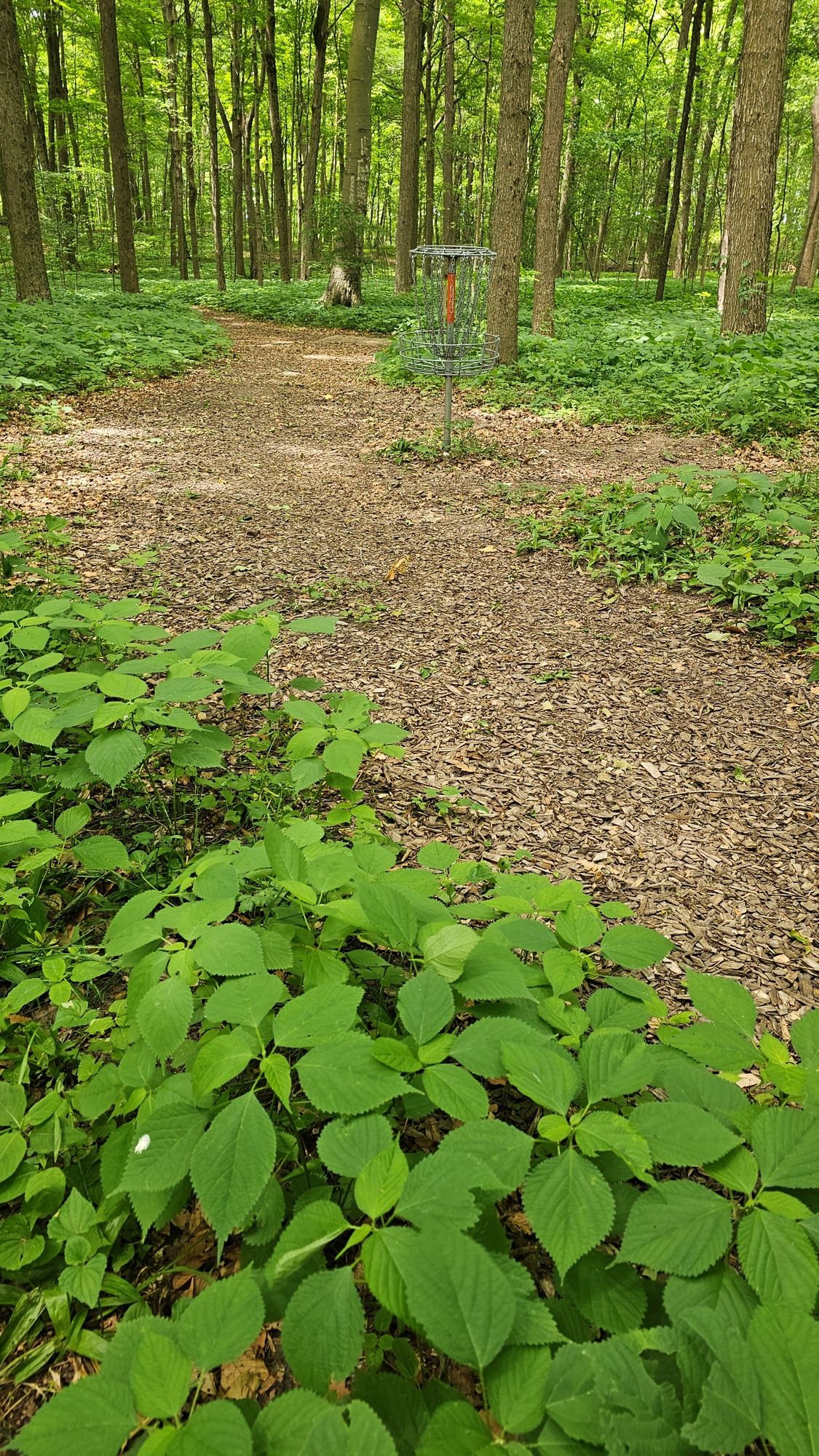 Hole 3