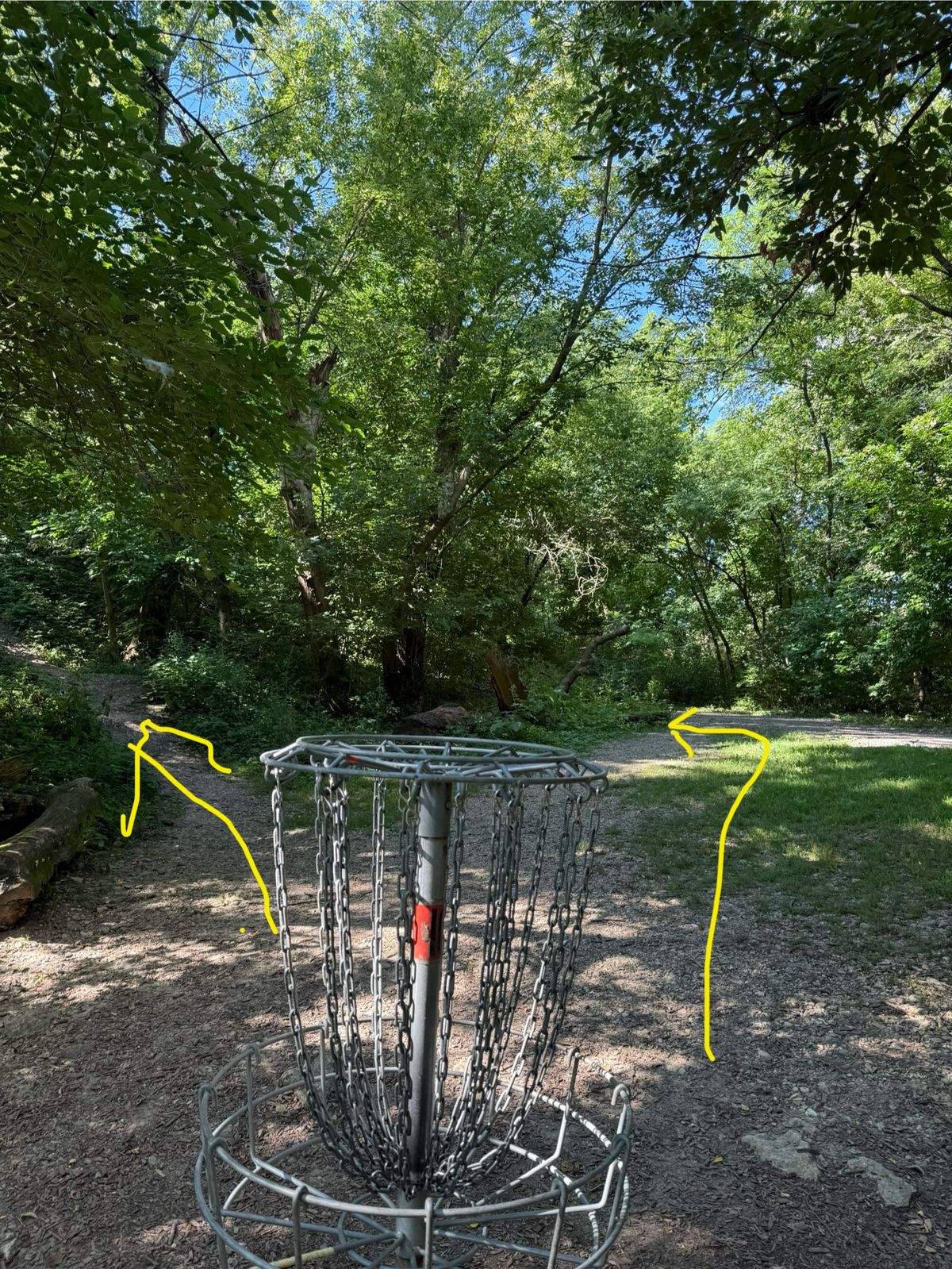 2 ways to tee 11. Up or easy (back way)
