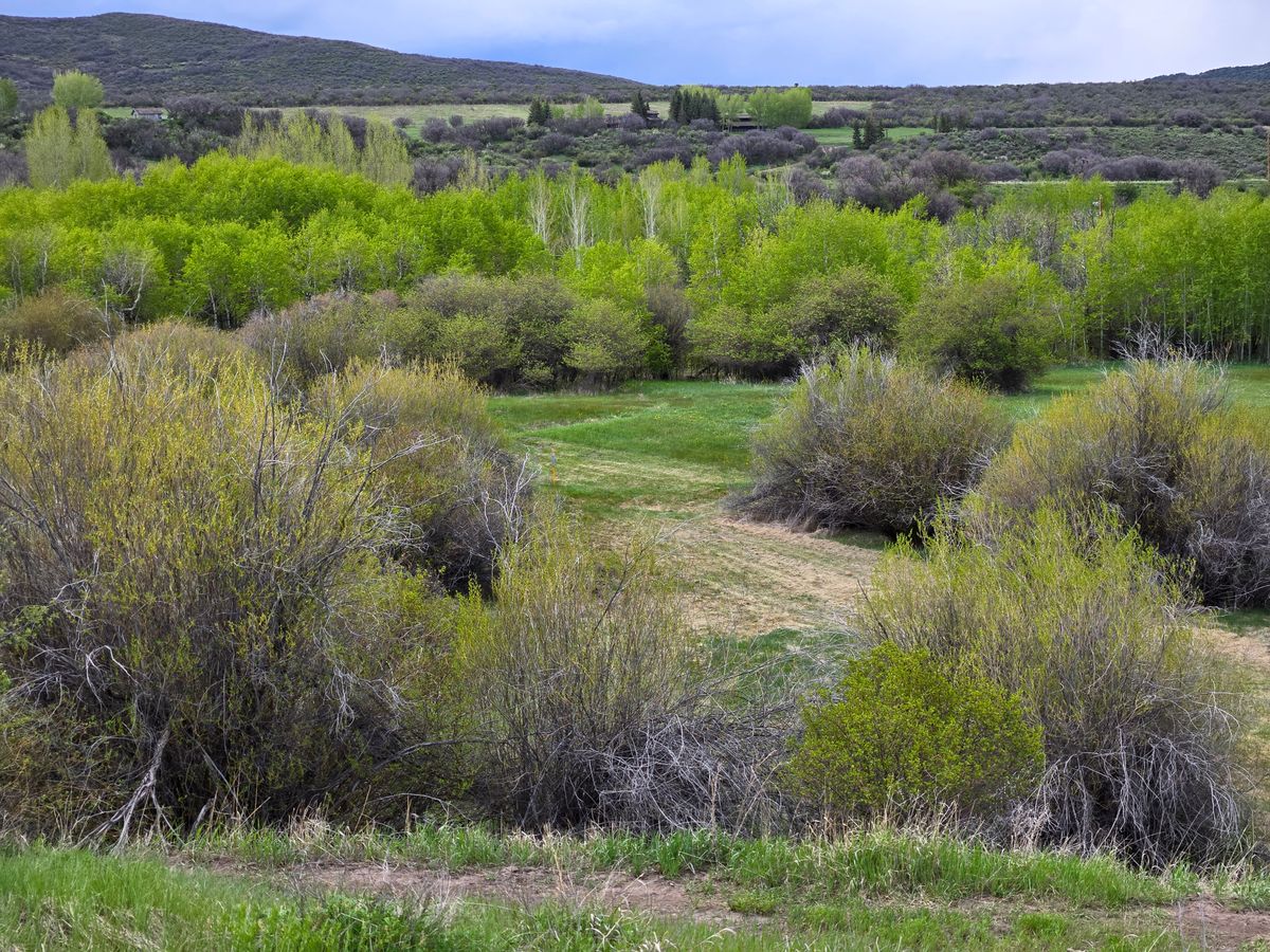 Hole 4 from tee