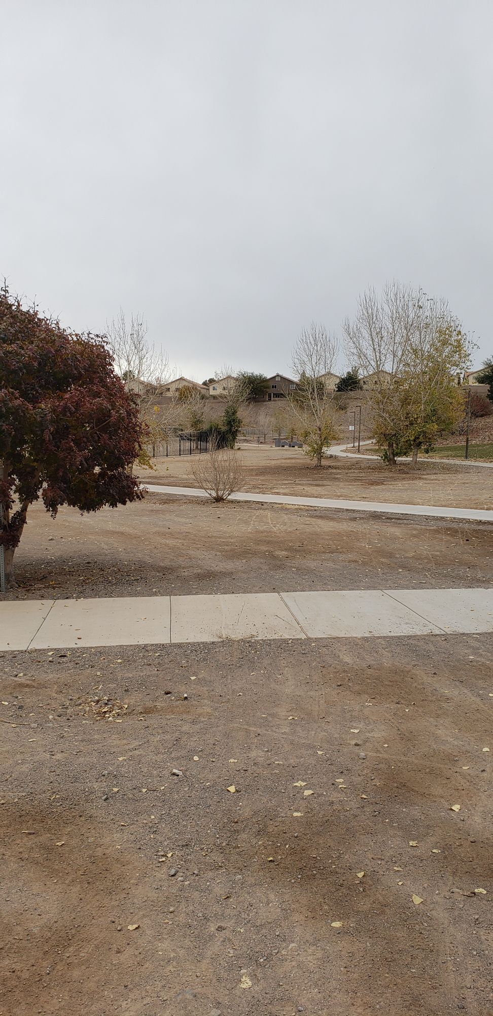 Hole #3 tee box. Basket is between the park benches and the fence