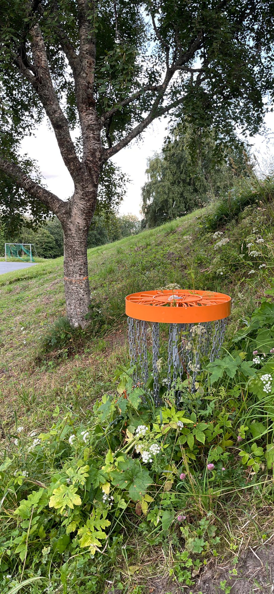 Noen av kurvene var gjengrodd.
