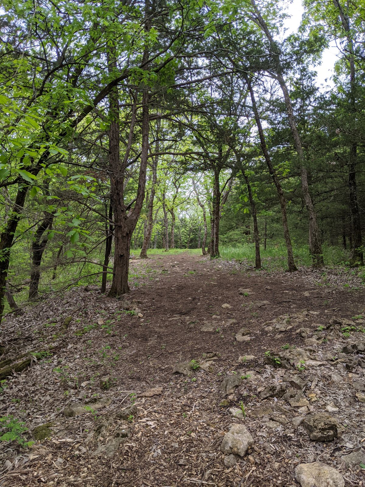 Tee 12