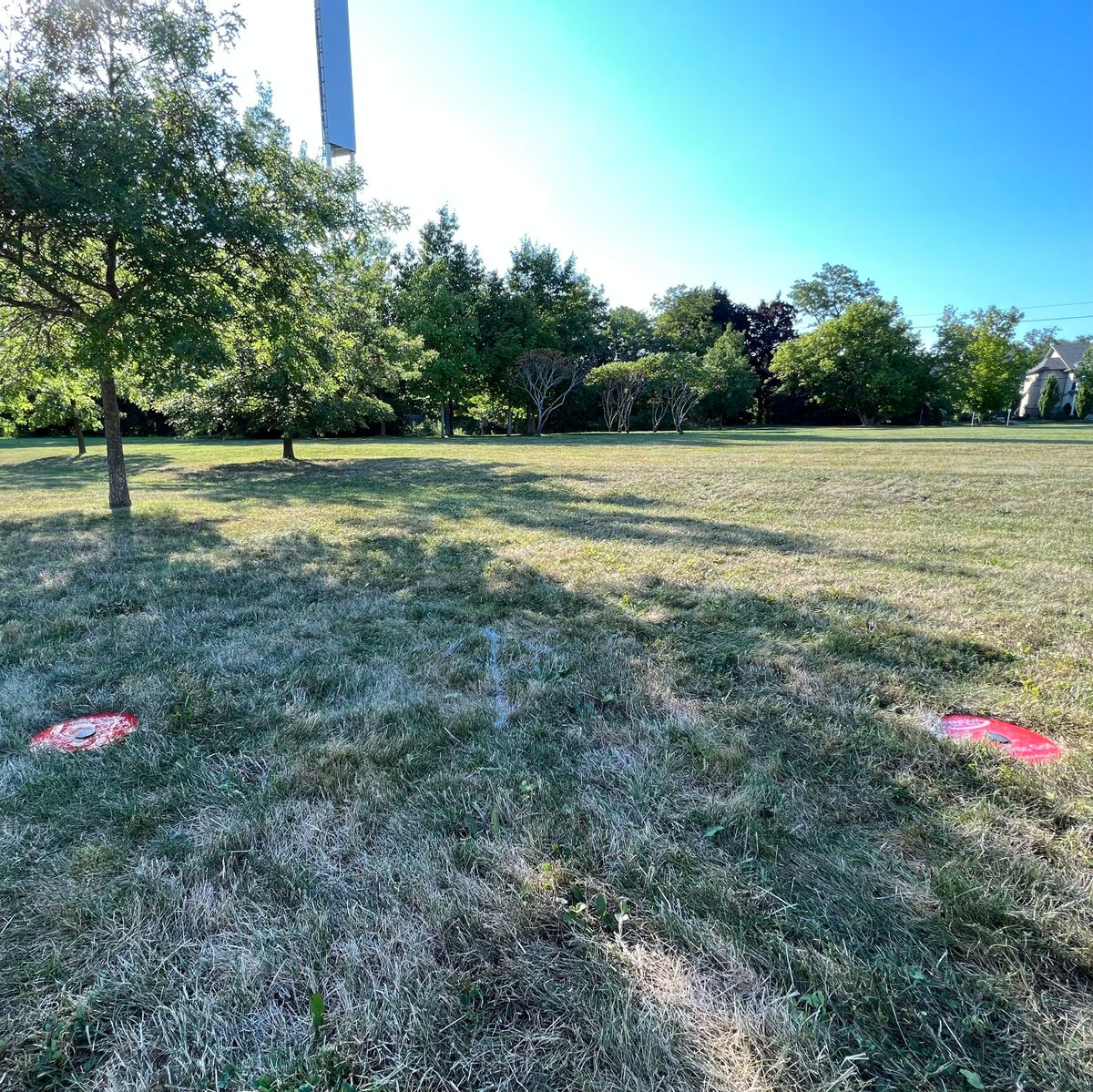 Hole 3 - low shot into the trees - very ACEPLACE-able.