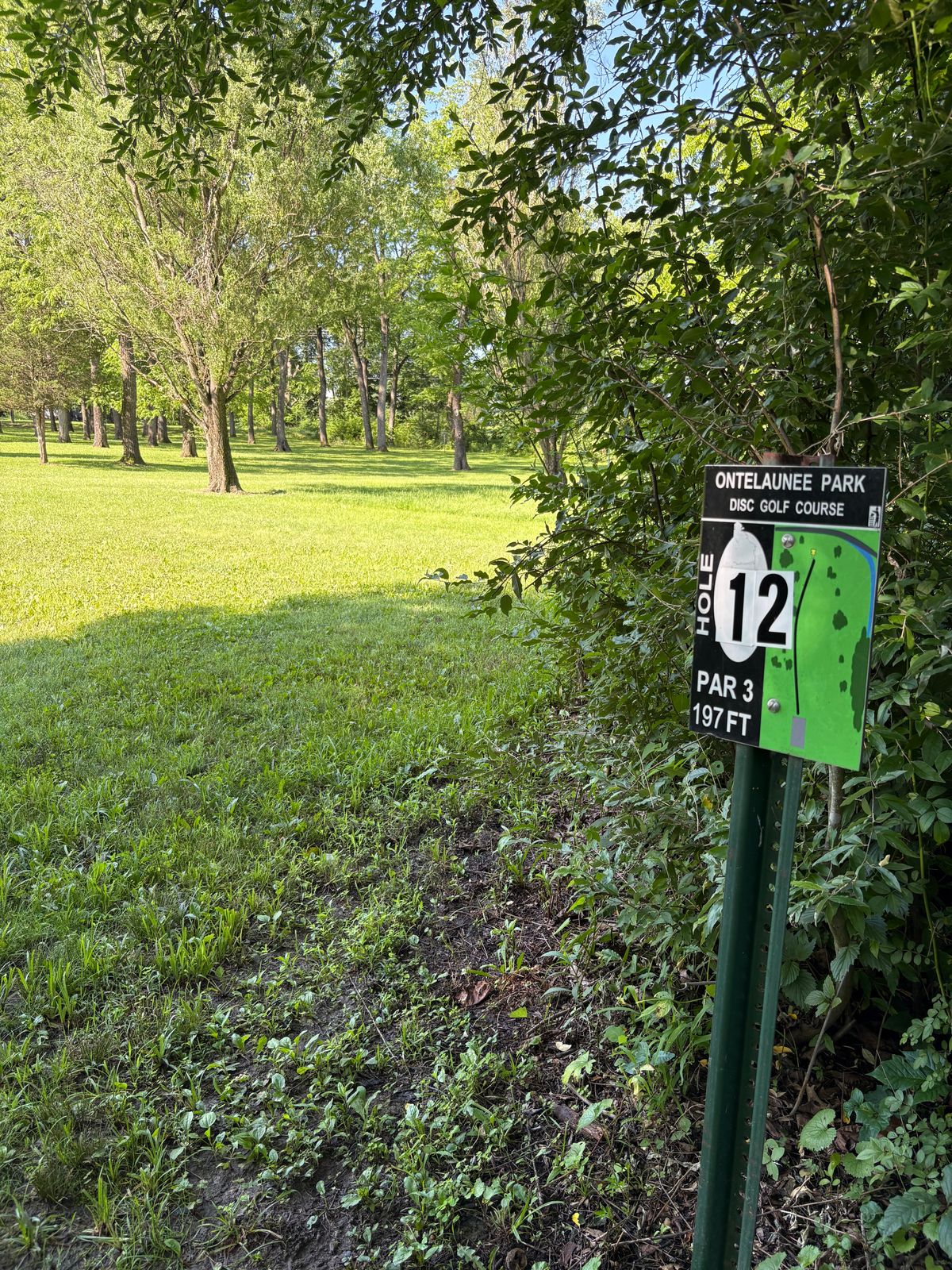 12th tee
