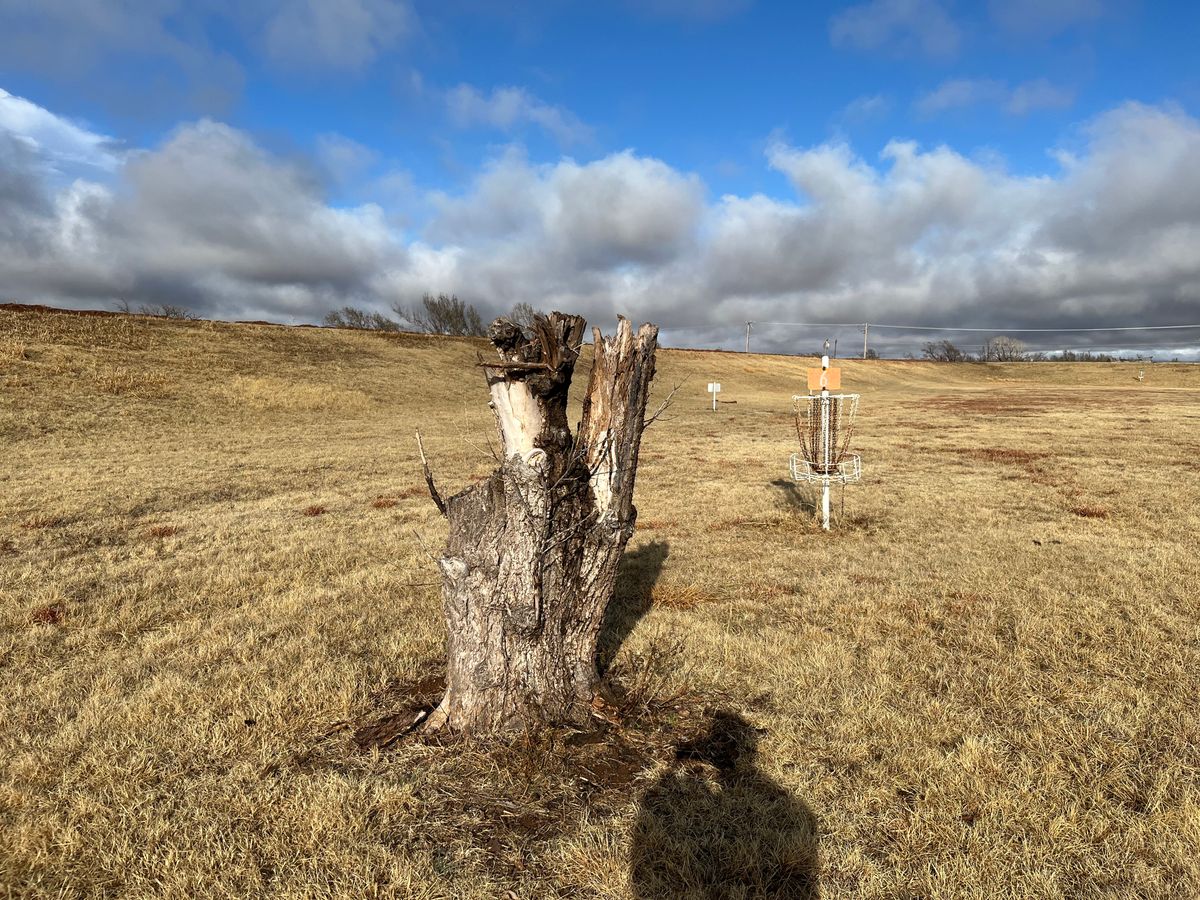 6’s basket with an obstacle stump