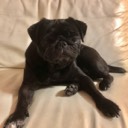 User avatar image