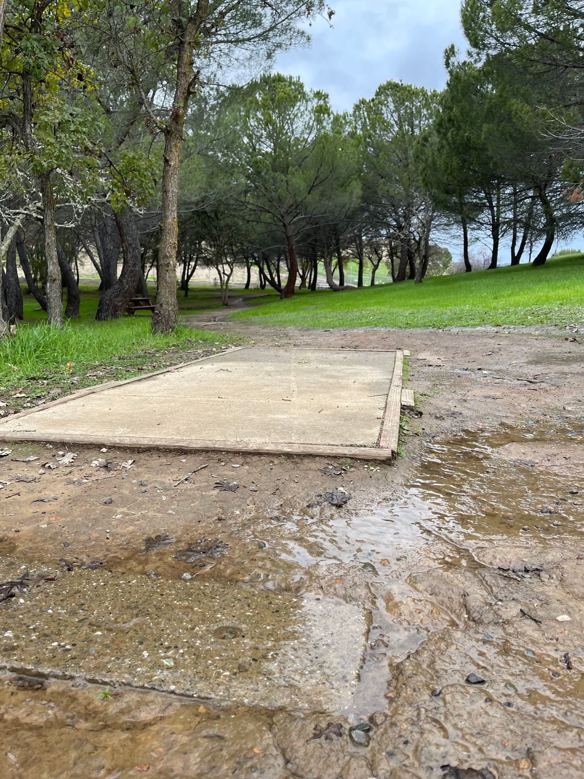 Hole 20 tee pad.