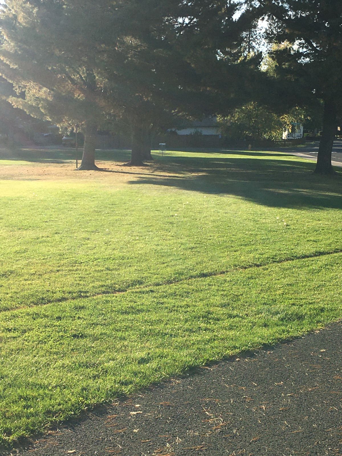 View from tee box on hole 1