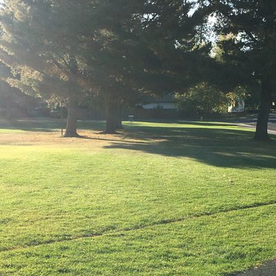 View from tee box on hole 1