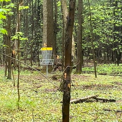 Course photo