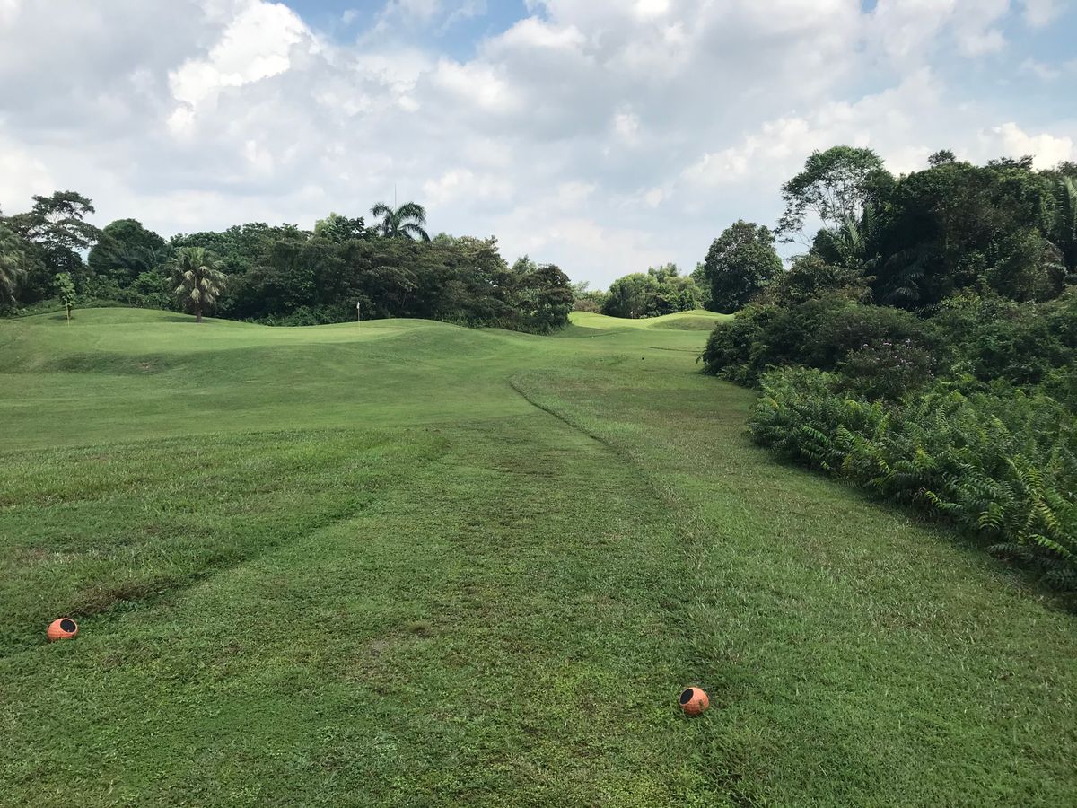 Tee for 12. Par 4