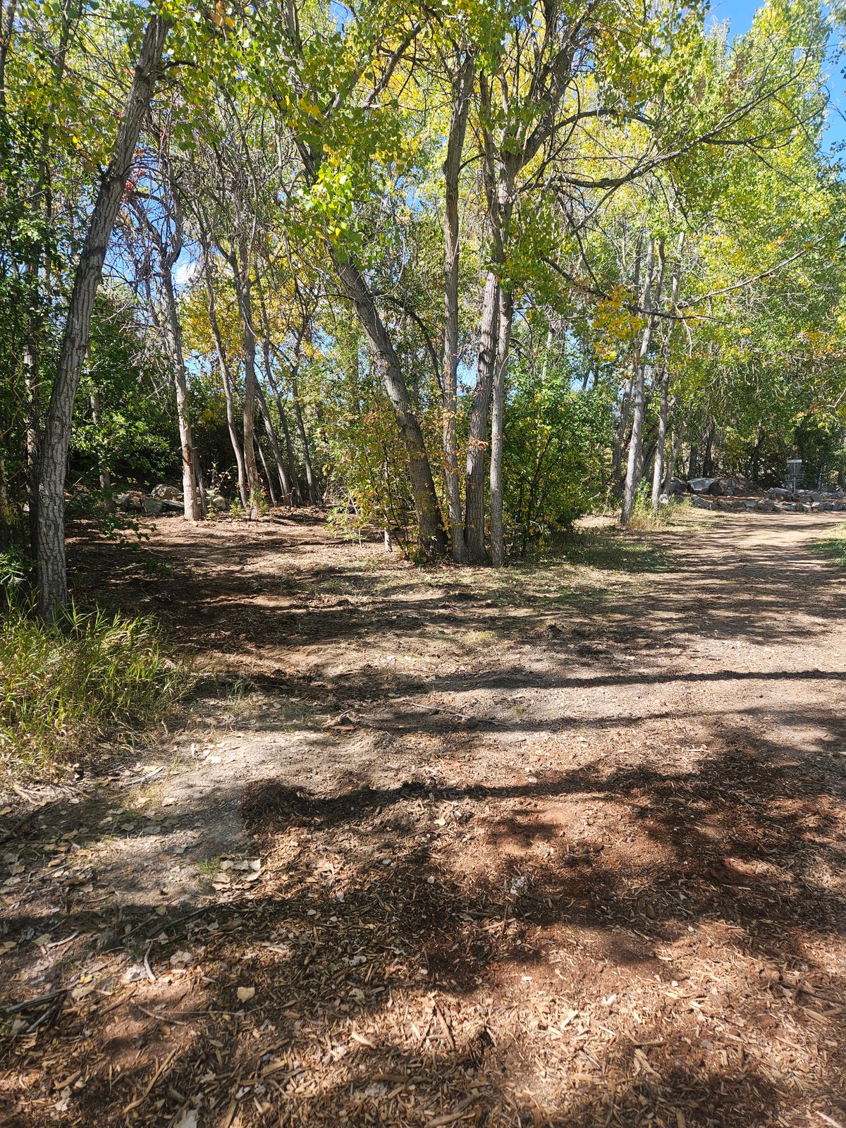 Hole11