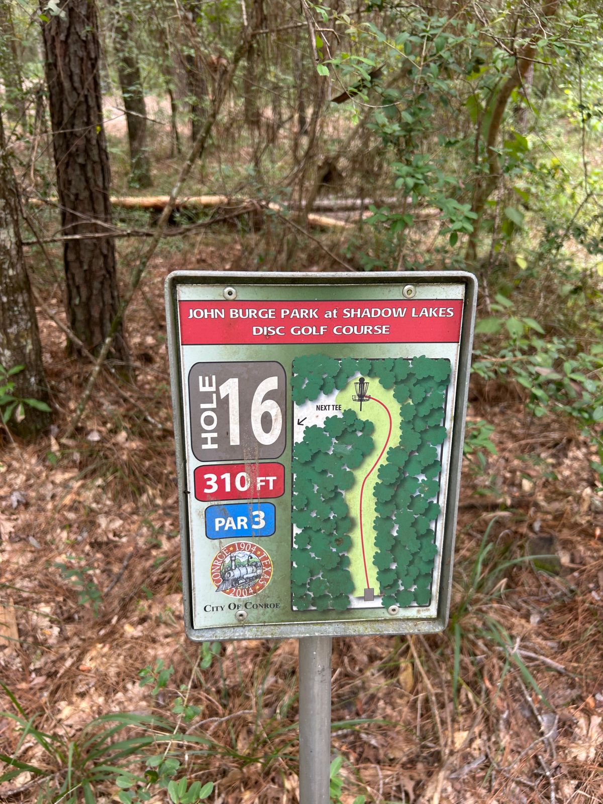 16