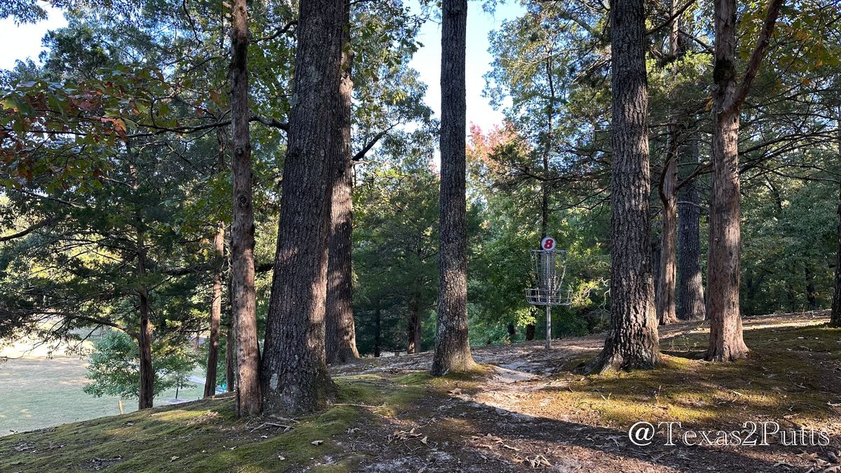 Hole 8