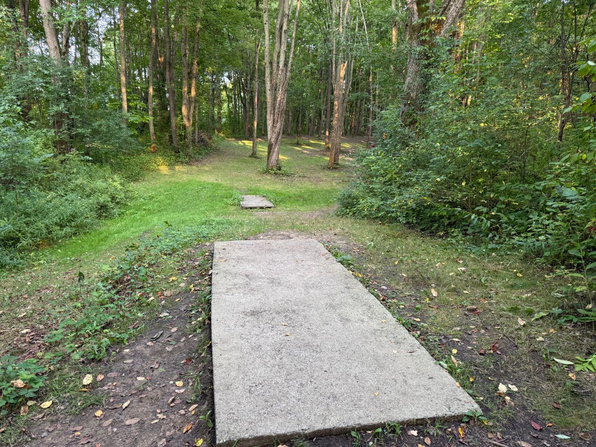 Hole 5 Tee