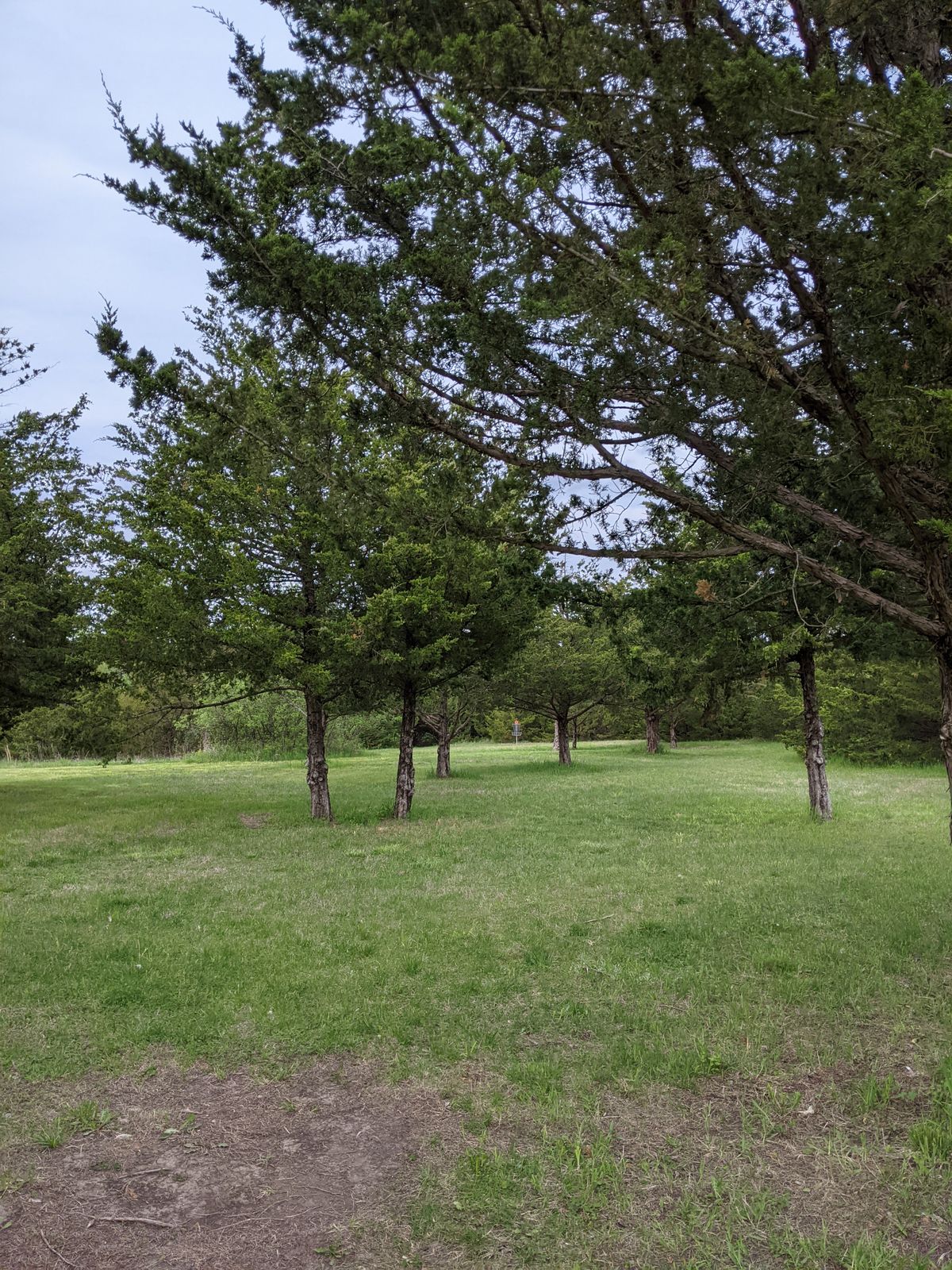 Fairway 3