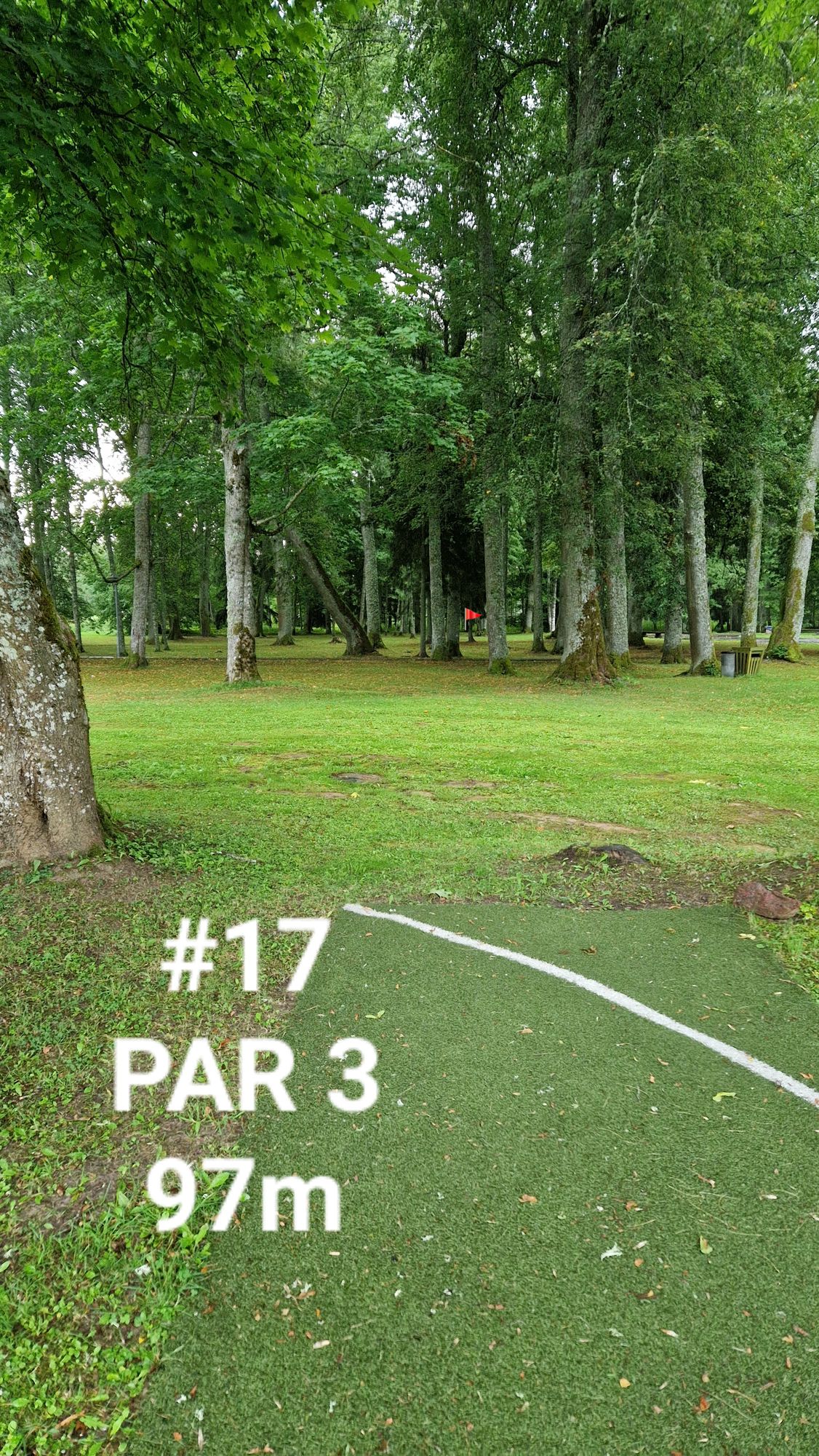 17