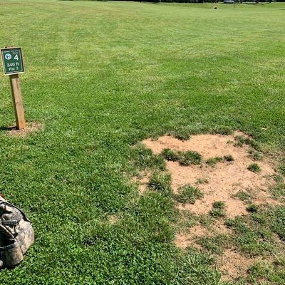 Hole 4 - Basket up to the right close to the road.