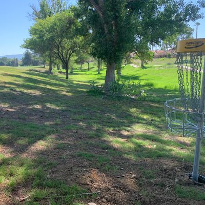 Alpha Hole 5 Basket