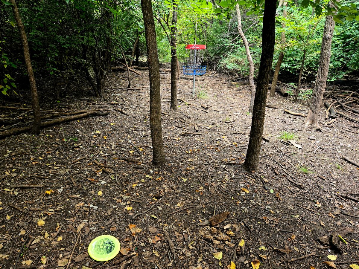Zika Alley