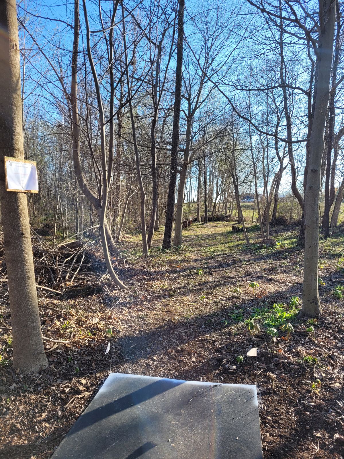 Hole 6
