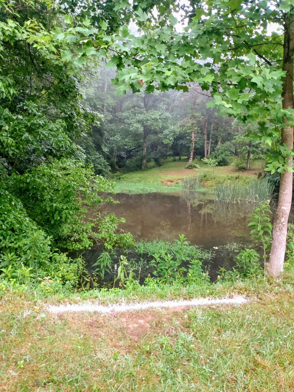 Hole 1