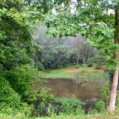 Hole 1