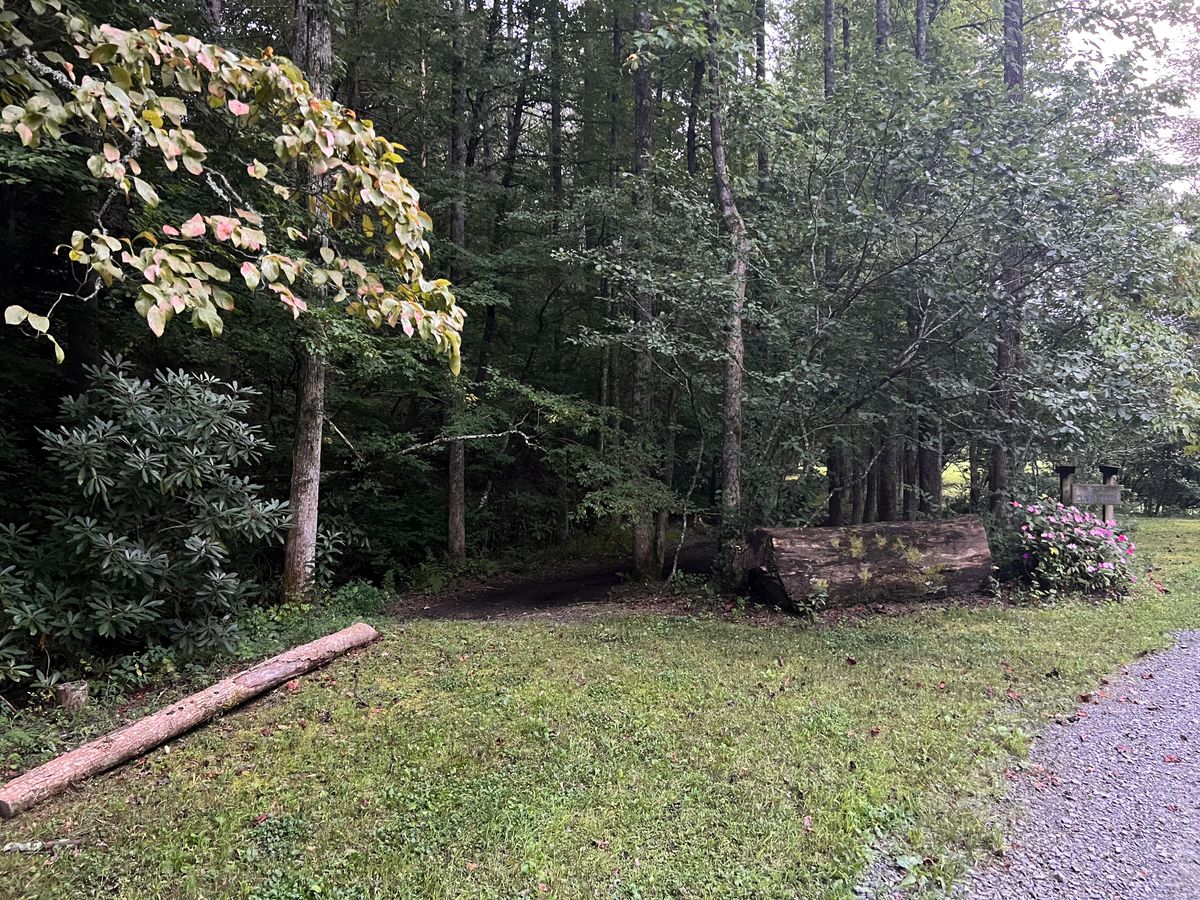 Entrance to #2 tee pad.