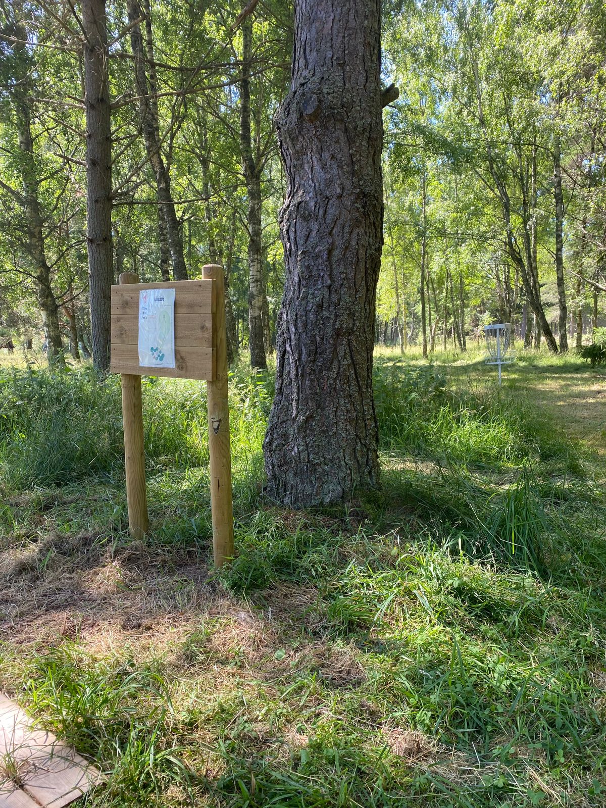 Tee 1 i förgrunden och hål 9 korg i bakgrunden.
