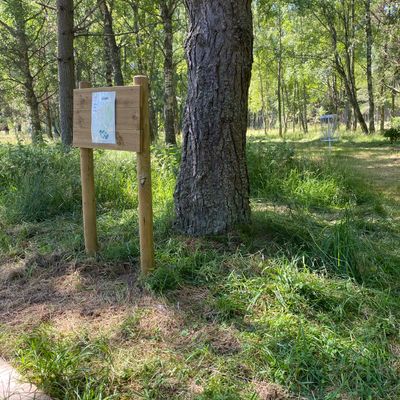 Tee 1 i förgrunden och hål 9 korg i bakgrunden.