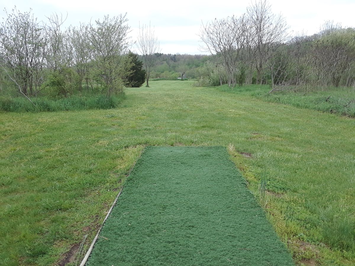 hole 10