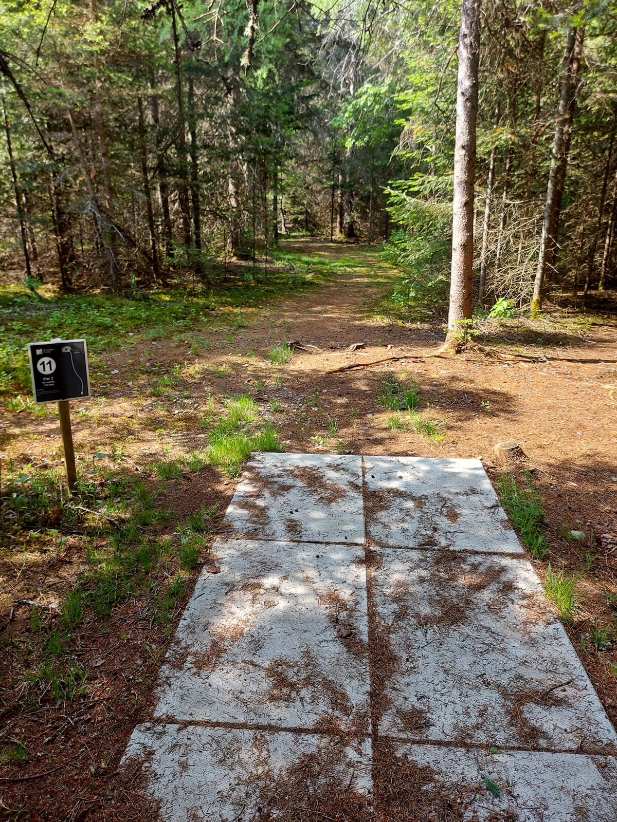 Tee pad 11.🍁🌲🌲🍁🌲