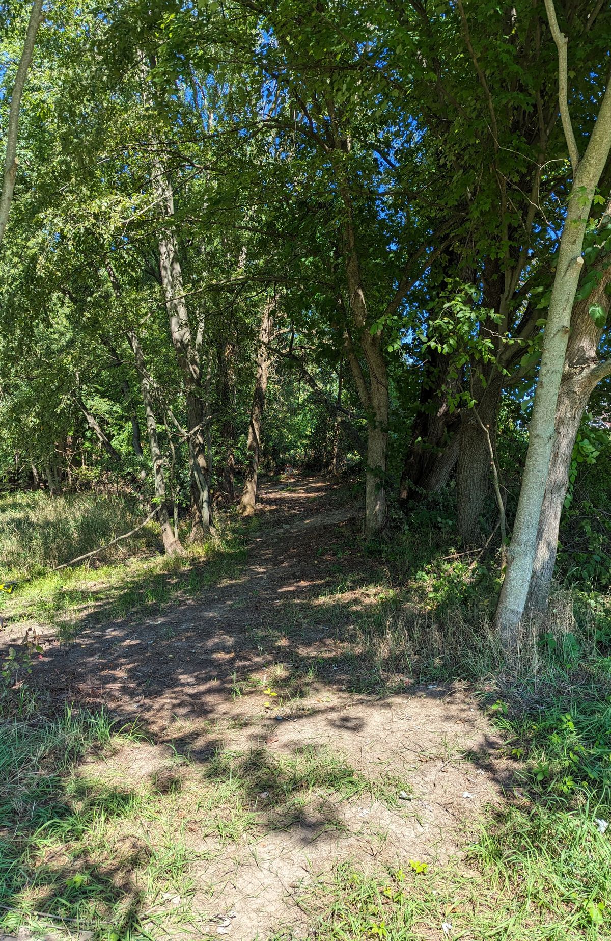 Hole 1 Alternate Teepad