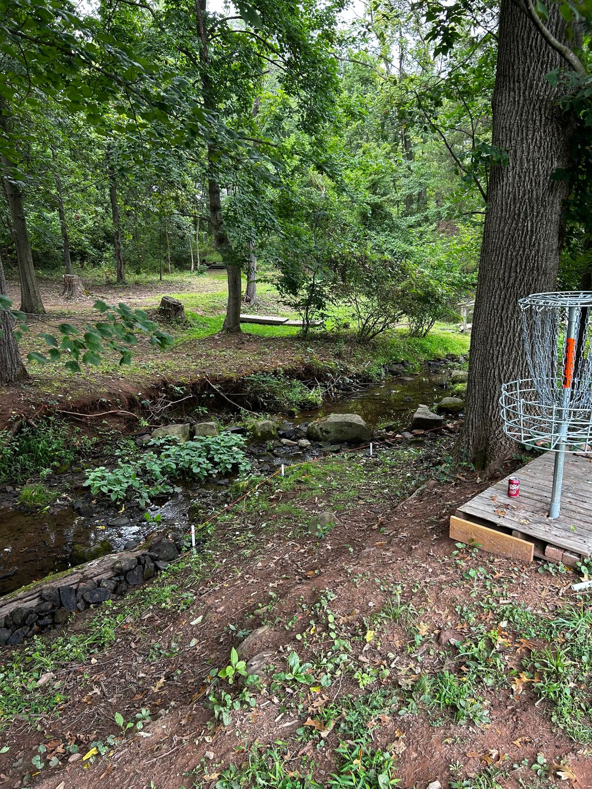 Hole 18 OB creek