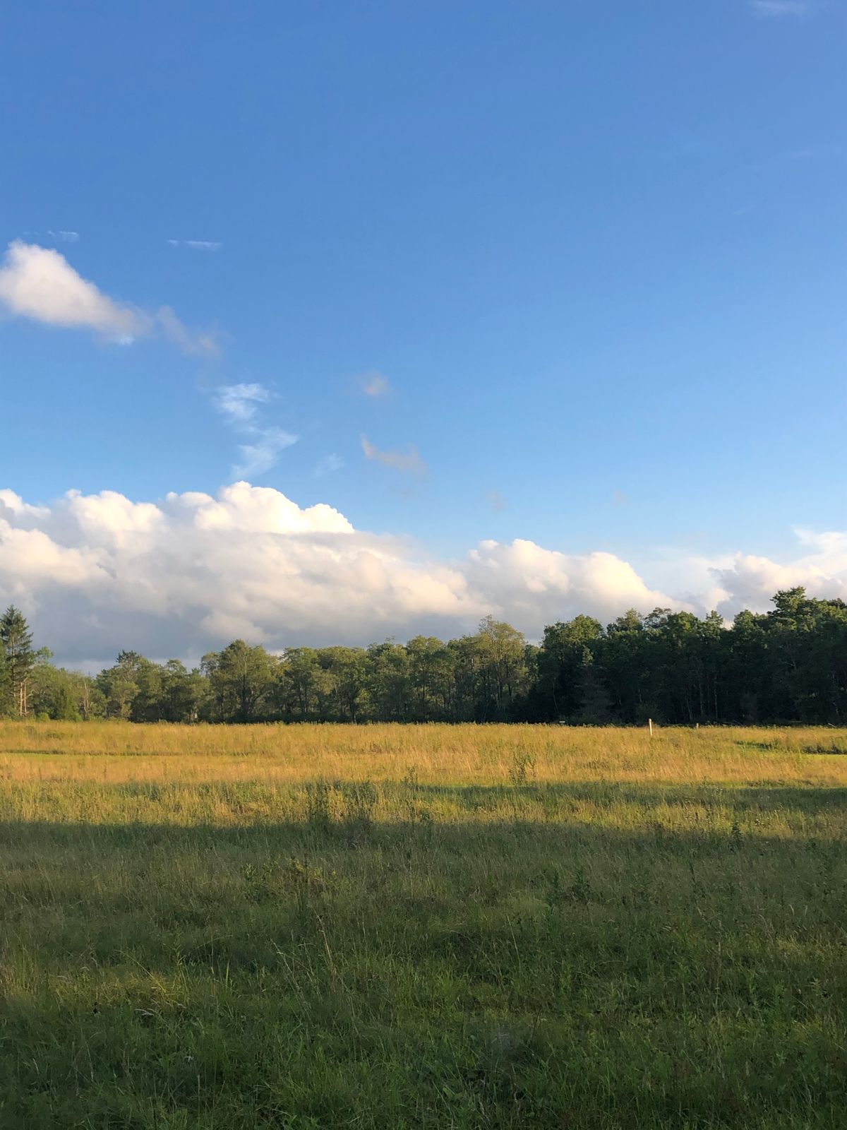 Like this almost every evening! (Front nine)