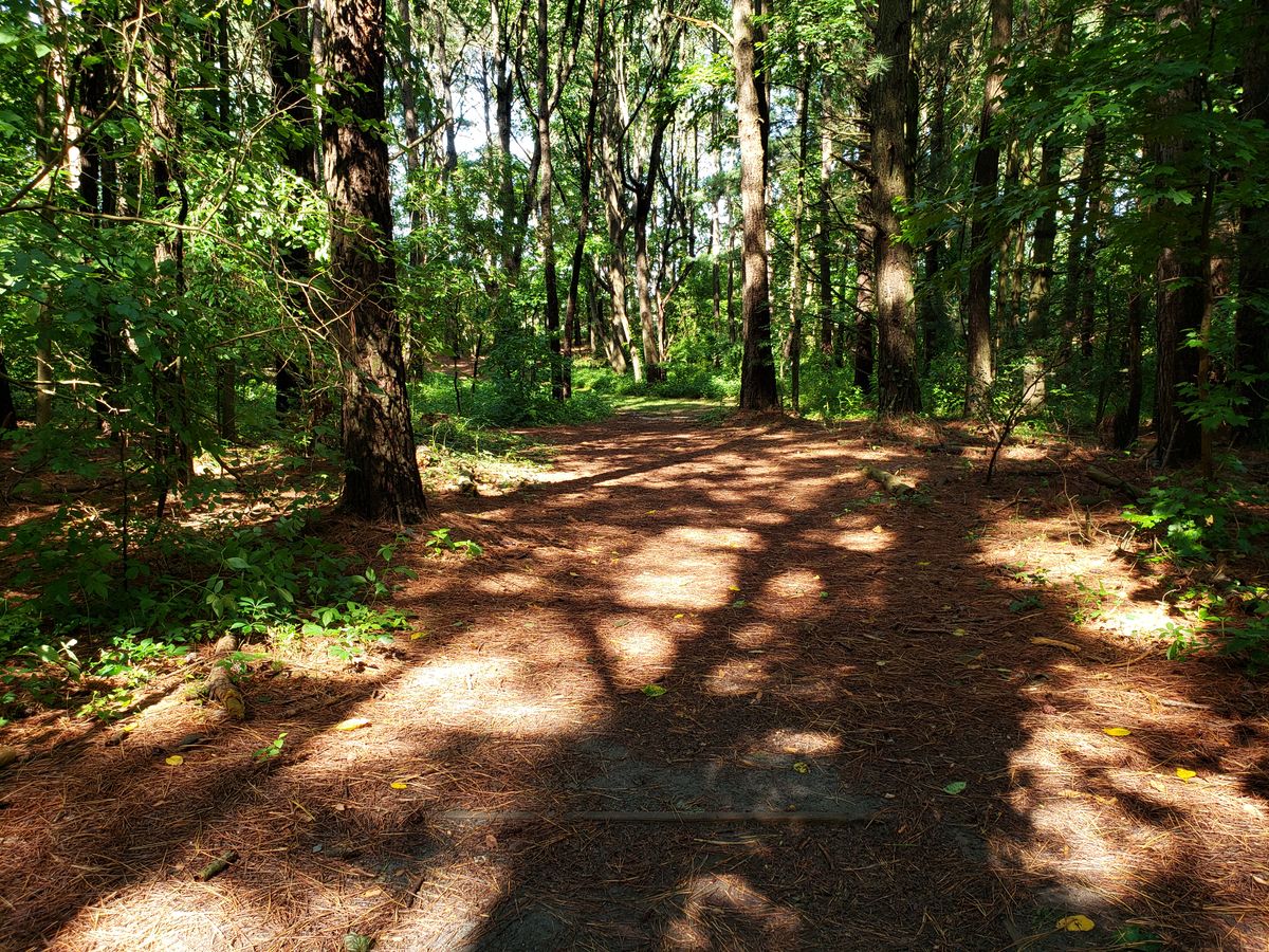 Hole 11 White Tee