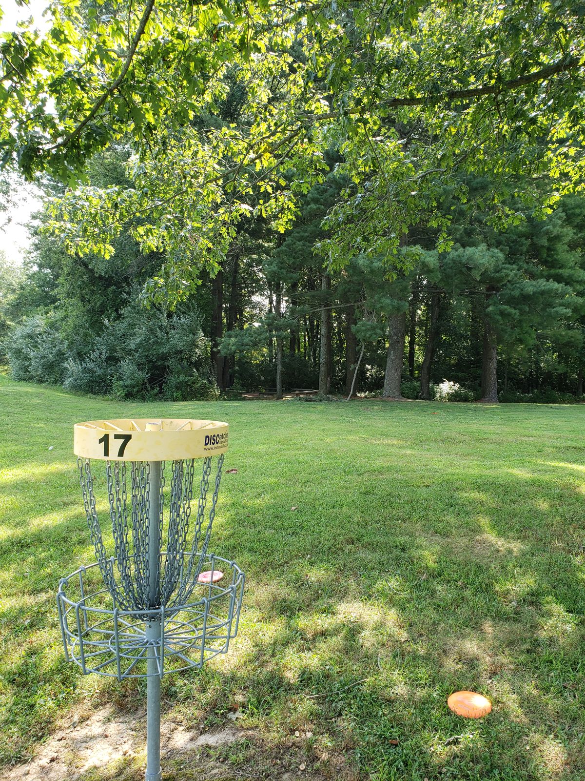 #17 Basket with group meeting benches in background.