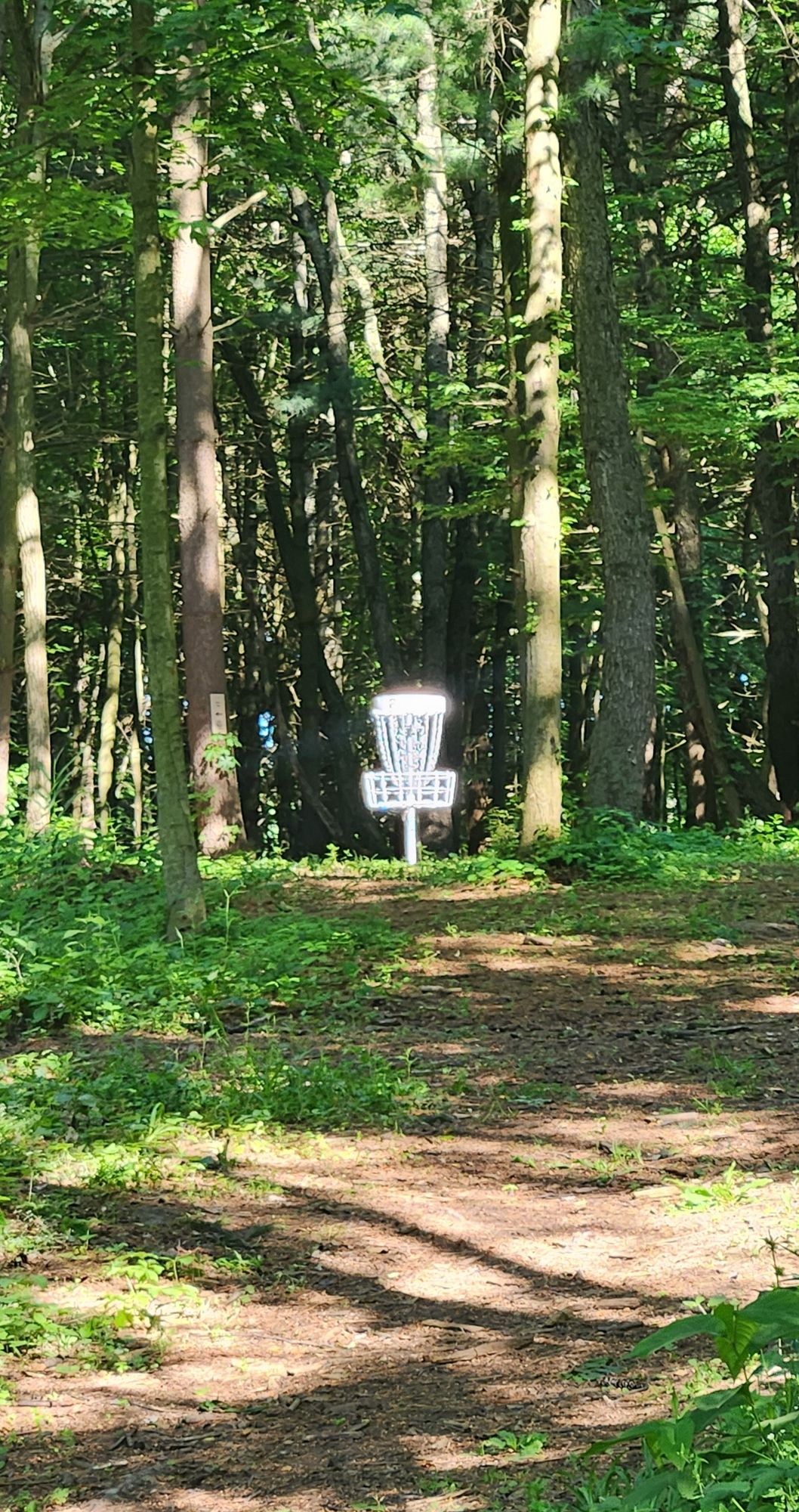Hole 2 shining brightly.