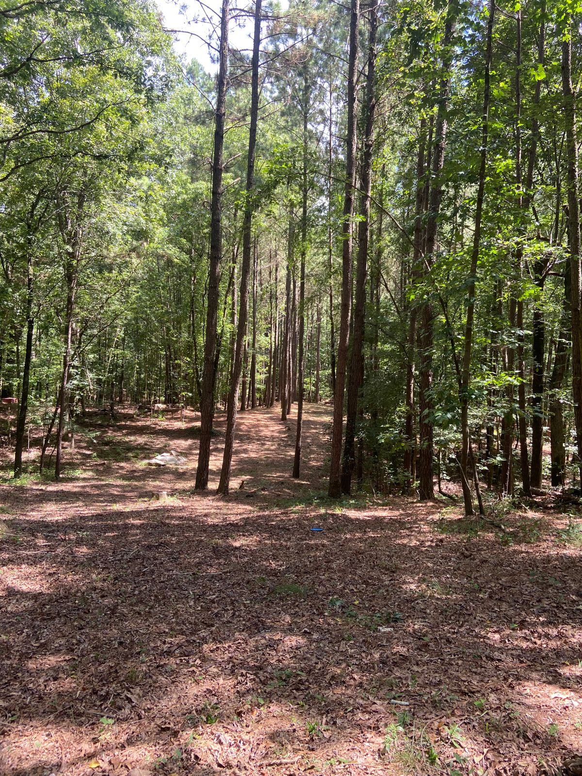 Fairway of Hole 11