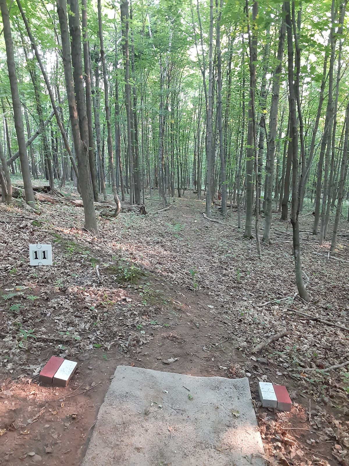 Hole 11 tee