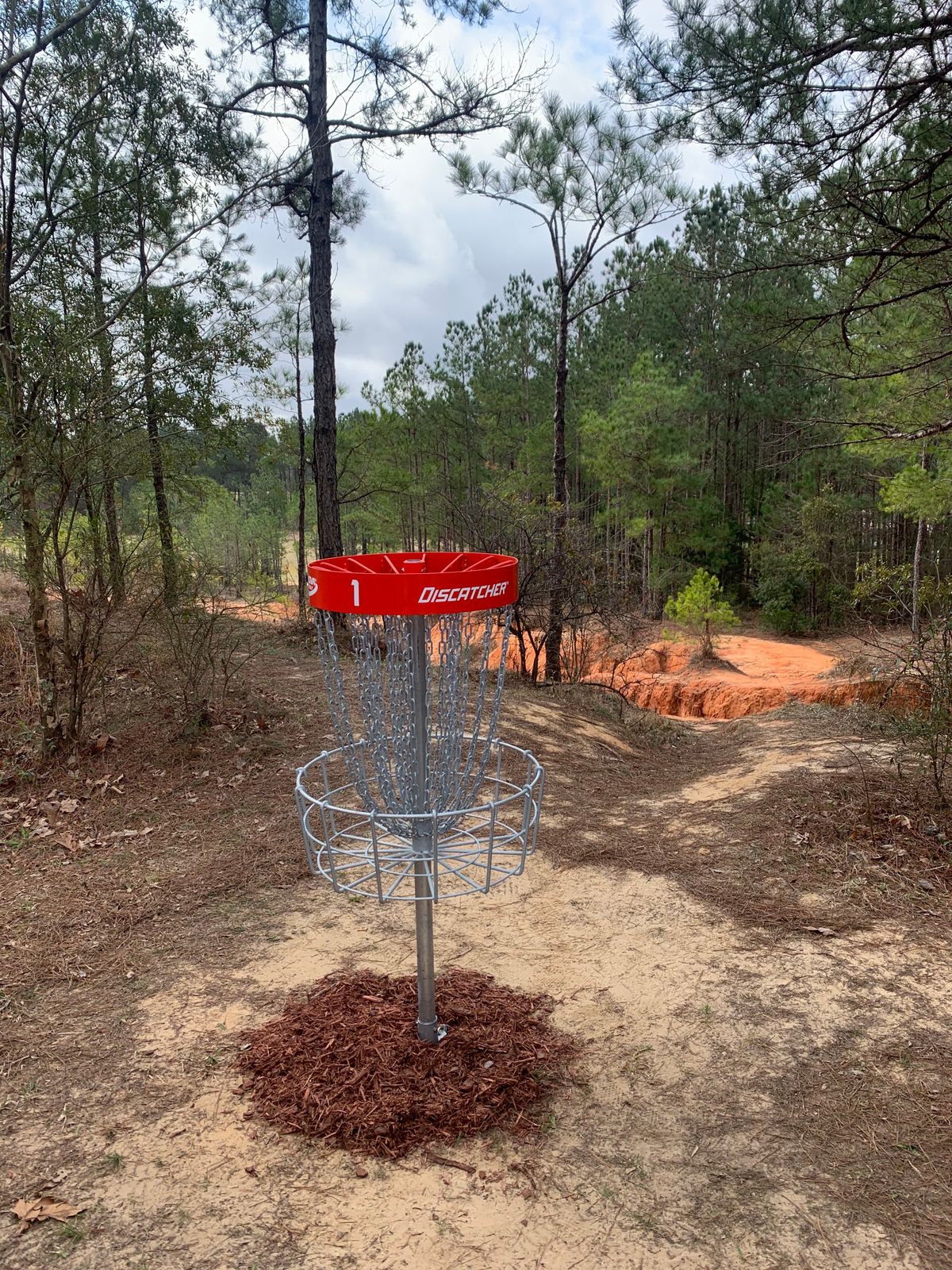 Looking back at hole 1s approach