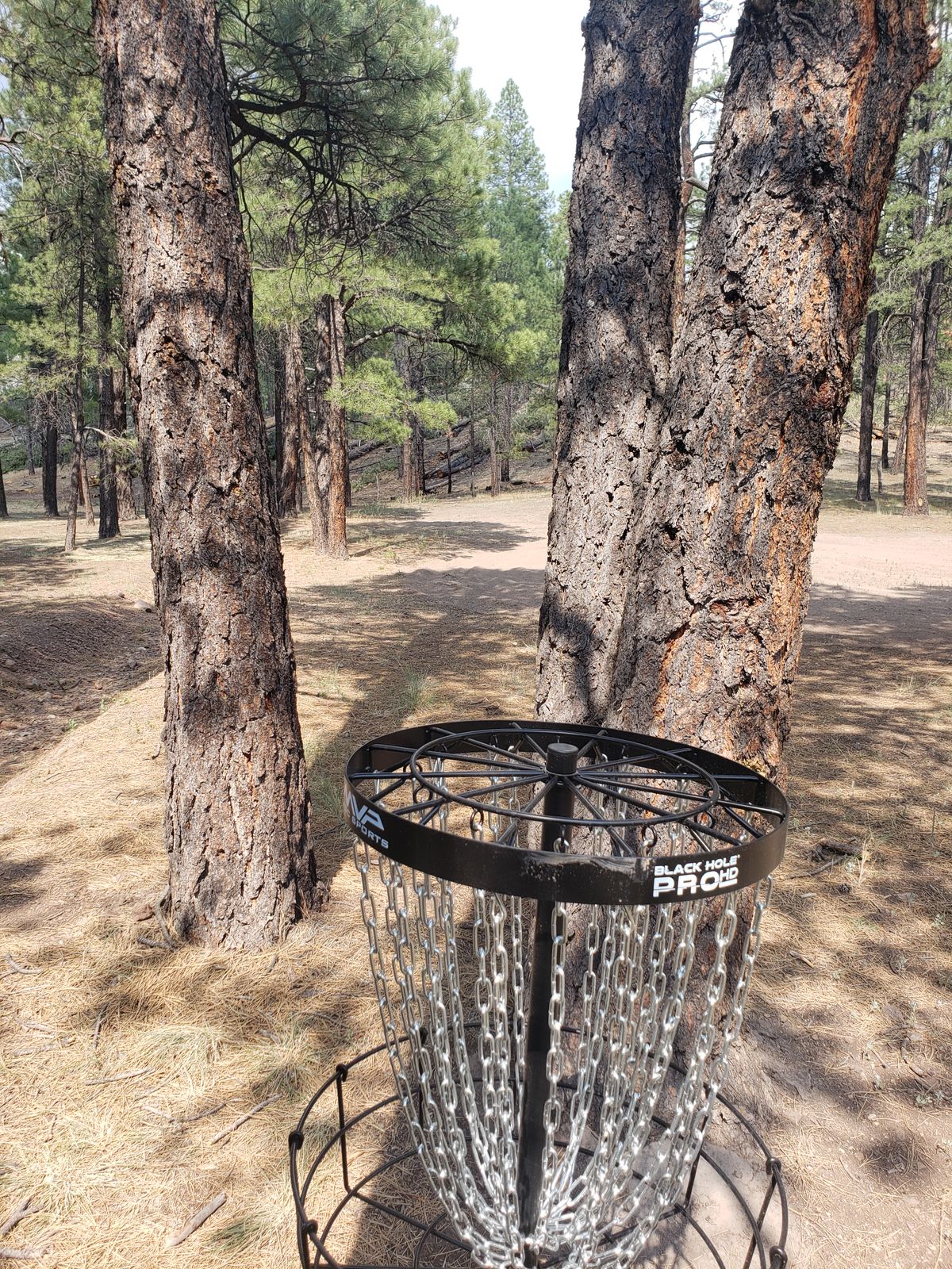 Hole 4 basket looking toward 4s Tee