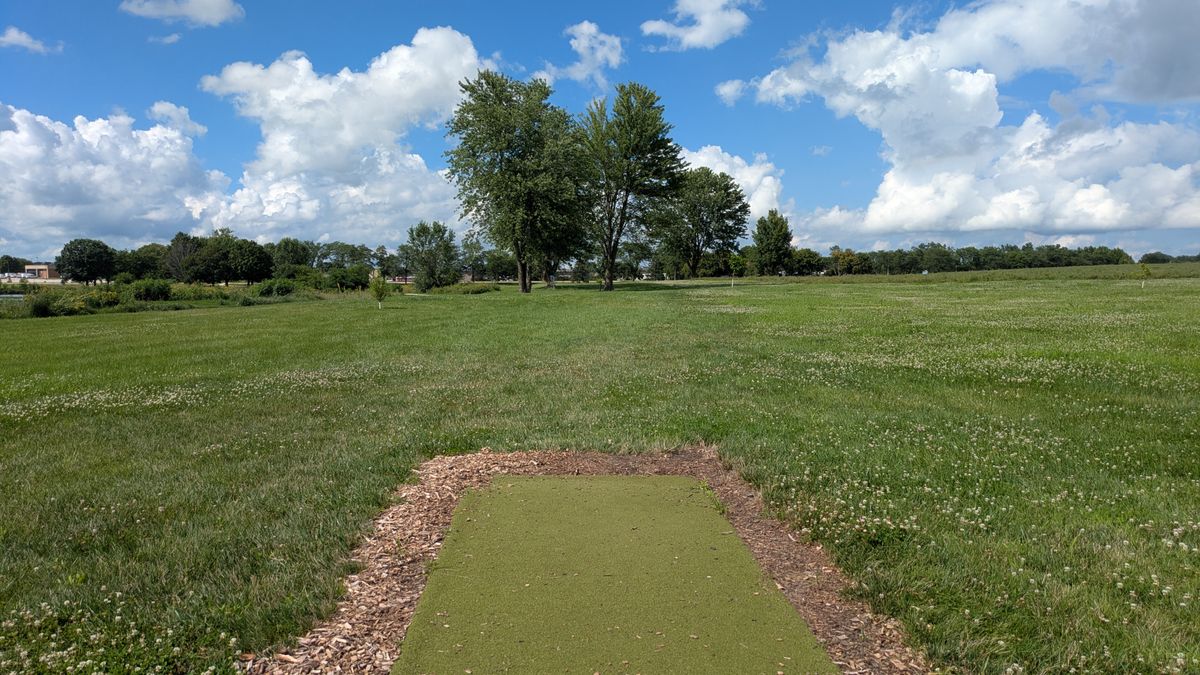 Tee #7