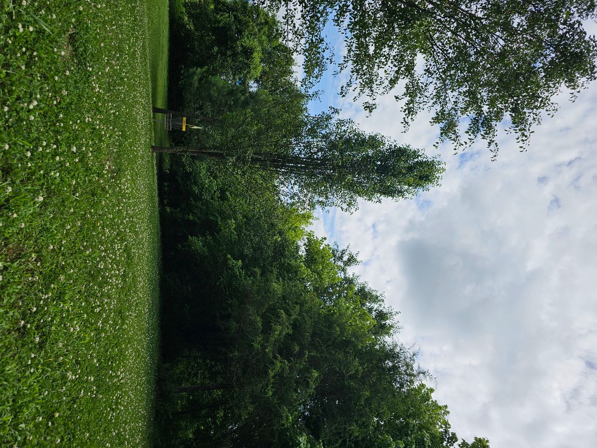 Picturesque hole!